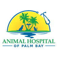 Animal Hospital of Palm Bay. Logo is a blue cat and dog outline under two green palm trees with a yellow setting sun in the background, it is all surrounded by a blue stethoscope